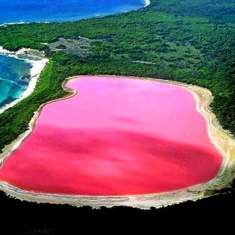 Aerial view of the pink lake